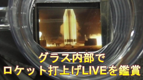 �A�j���O���X�̓���LIVE�f��